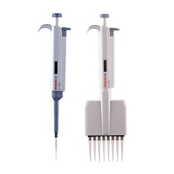 �Ϻ�����--����r��